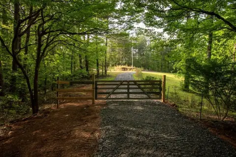 Two Acres Wooded Land