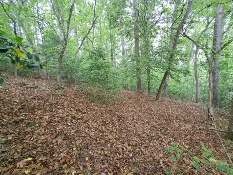 Wooded Lot with Mountain Views