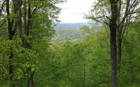 Mountain View Lot in Blairsville