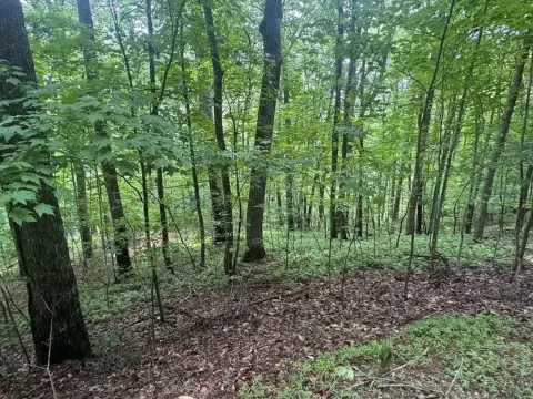 Blairsville Vacant Lot in Highlands
