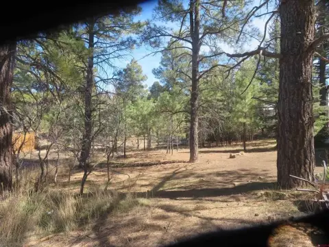 Wooded Homesite Near Lake Pagosa