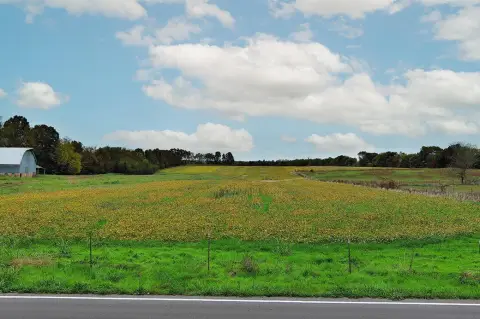 Grazing and Hay Farmland