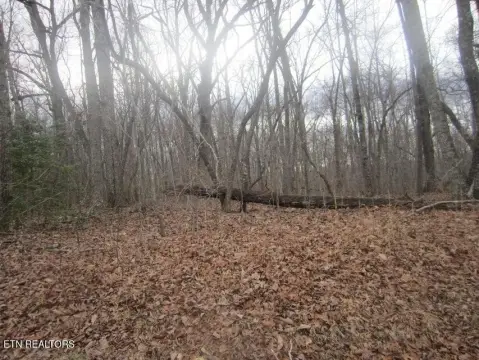 Crossville, TN Building Site