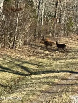 Crossville Land in Ojibwa