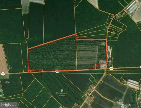 Timberland with Harvested Acreage