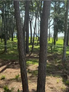 Daufuskie Island Homesite