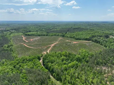 Recreational Hunting Tract with Creek