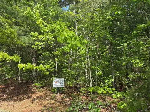 Blue Ridge Acreage Opportunity