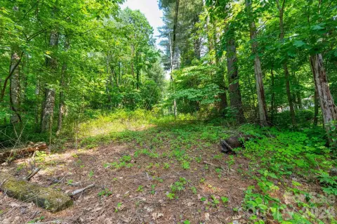 Unrestricted Wooded Land in Sylva