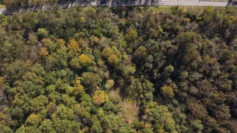Wooded Hunting Land