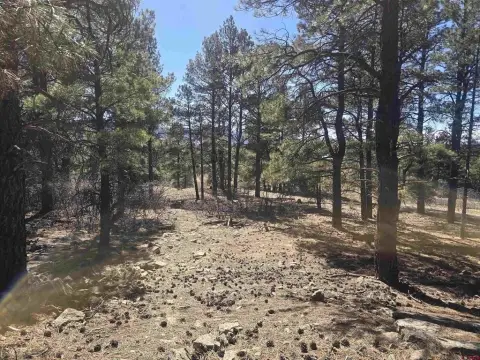 Pagosa Springs Residential Lot