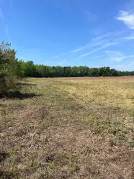 Land in Dillon County, SC