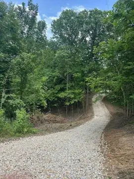 Buildable Hunting Land Parcel