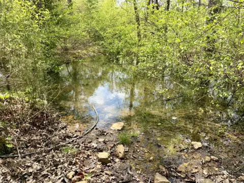 Arkansas Hunting Land with WMA Access