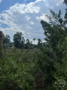Savannah Land For Sale