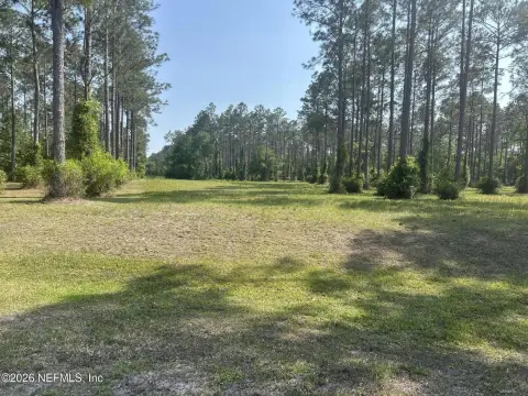 8.61 Acre Homesite in Jacksonville
