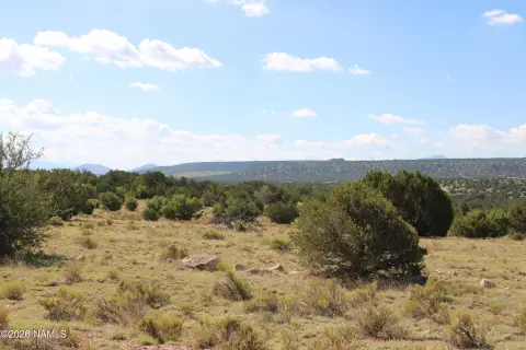 12.5 Acres near Williams, AZ