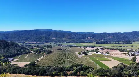 Vineyard Property with Highway Frontage