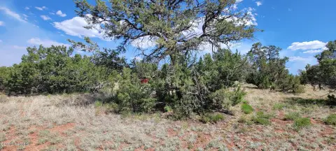 Land Near Grand Canyon Junction