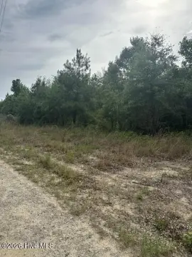 Hunting Land with Private Easement