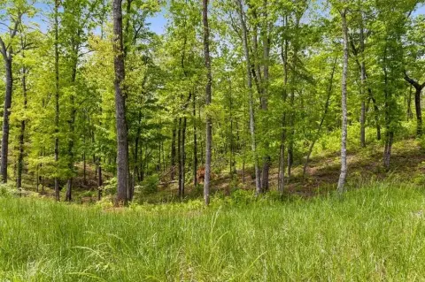 Ellijay Vacant Lot in Gated Community