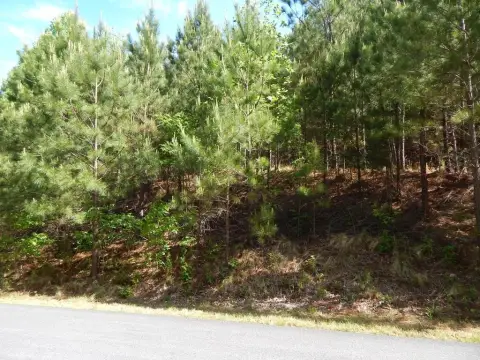 Blairsville Homesite with Mountain Views