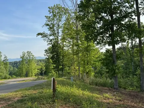 Ellijay Vacant Lot For Sale