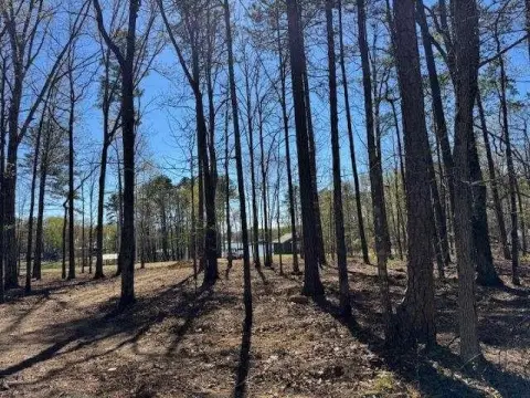 Waterfront Land in Cedar Bluff