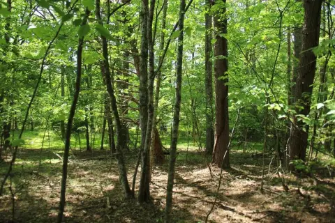 Vacant Lot Near Lake Chatuge