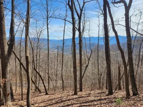 Land with Mountain Views