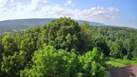 Residential Land Lot with Mature Trees