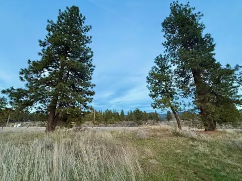 Residential Lot Near Agency Lake