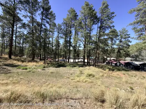 C-3 Midtown Commercial Lot