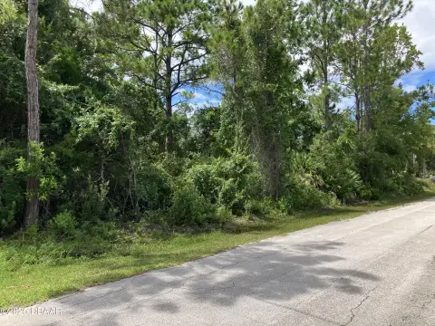 Residential Land in Palm Coast