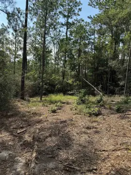 Rayburn Country Lot Ready