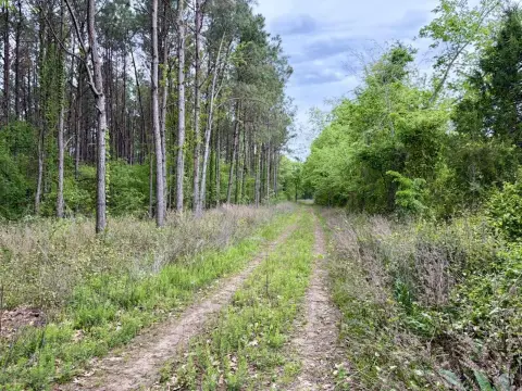 Secluded Acreage Near Petit Jean