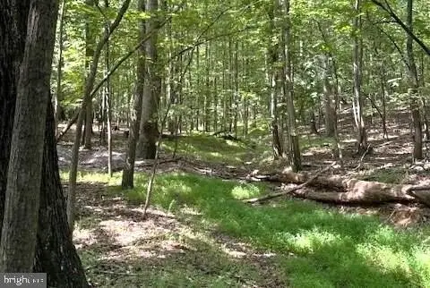 Sparks Land For Sale