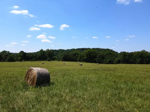 30 Acres with Creek Frontage