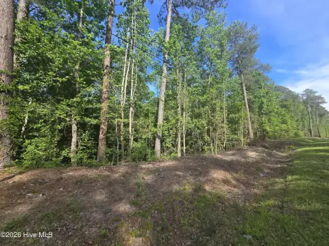 Wooded Recreation Land Lots