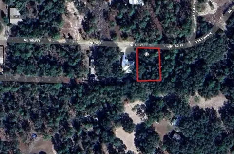 Land Opportunity in Williston, Florida
