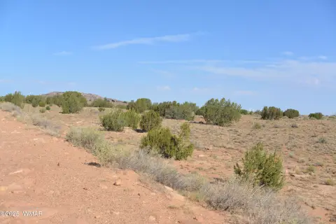 Land Near Snowflake, Arizona