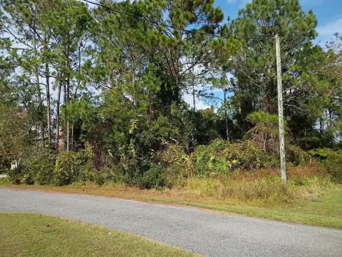 Vacant Land in Palm Coast
