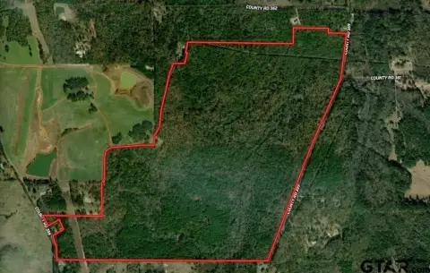 354 Acres in Winona, Texas