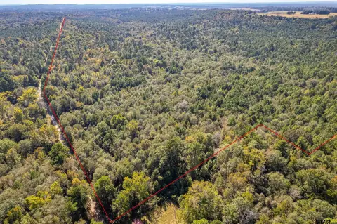 85 Acres in Winona, Texas