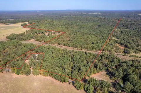 118 Acres in Winona, Texas