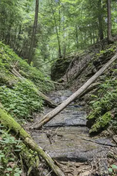 Recreational Land with Rock Outcroppings