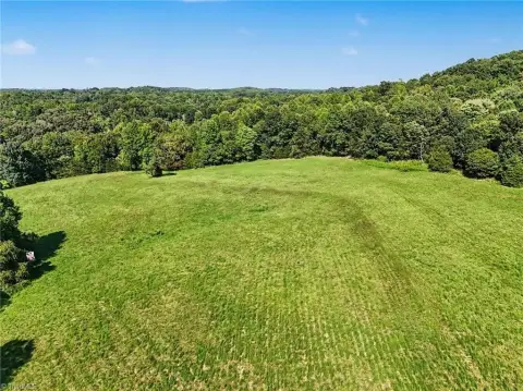 Wooded Land Tract