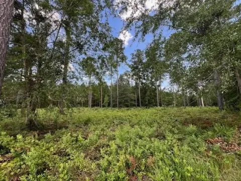 Half-Acre Homesite in Lakeside