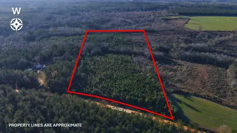 Vacant Land in Opp, AL