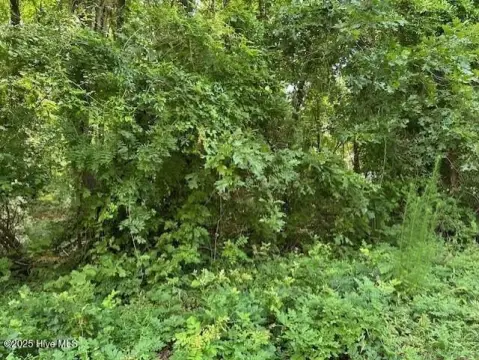 Hertford, NC Residential Land